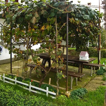 Ferienhaus Guido Pjescana Uvala Cis02154 Dyb *